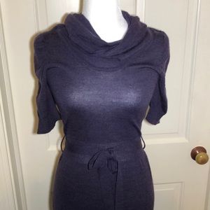 Purple Cow Neck Sweater Dress
